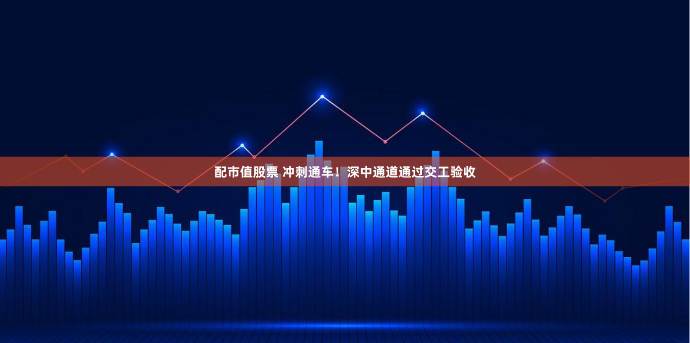 配市值股票 冲刺通车！深中通道通过交工验收