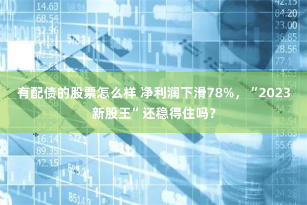 有配债的股票怎么样 净利润下滑78%，“2023新股王”还稳得住吗？