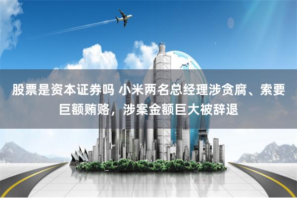 股票是资本证券吗 小米两名总经理涉贪腐、索要巨额贿赂，涉案金额巨大被辞退